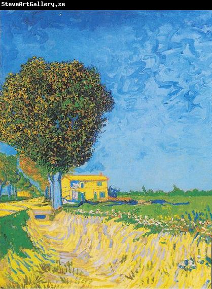 Vincent Van Gogh Avenue at Arles with houses